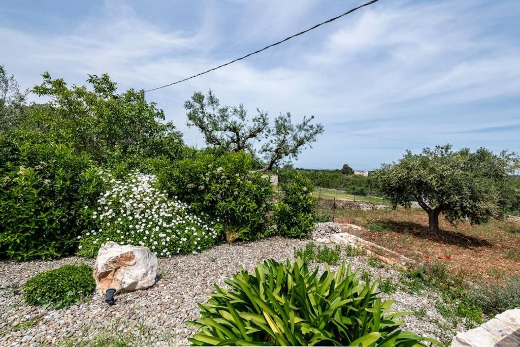 Trullo Oasi Santo Stefano - Private Pool Villa Castellana Grotte Buitenkant foto
